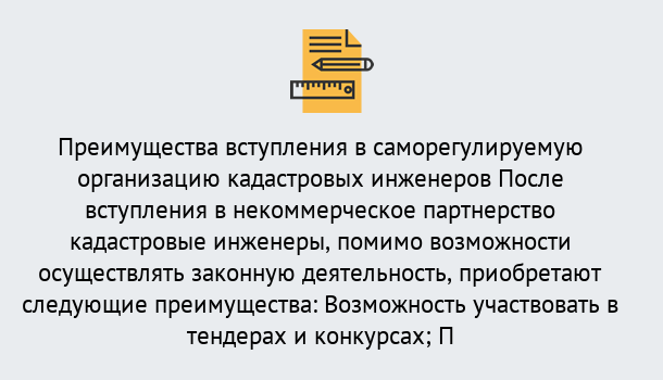 Почему нужно обратиться к нам? Троицк Что дает допуск СРО кадастровых инженеров?