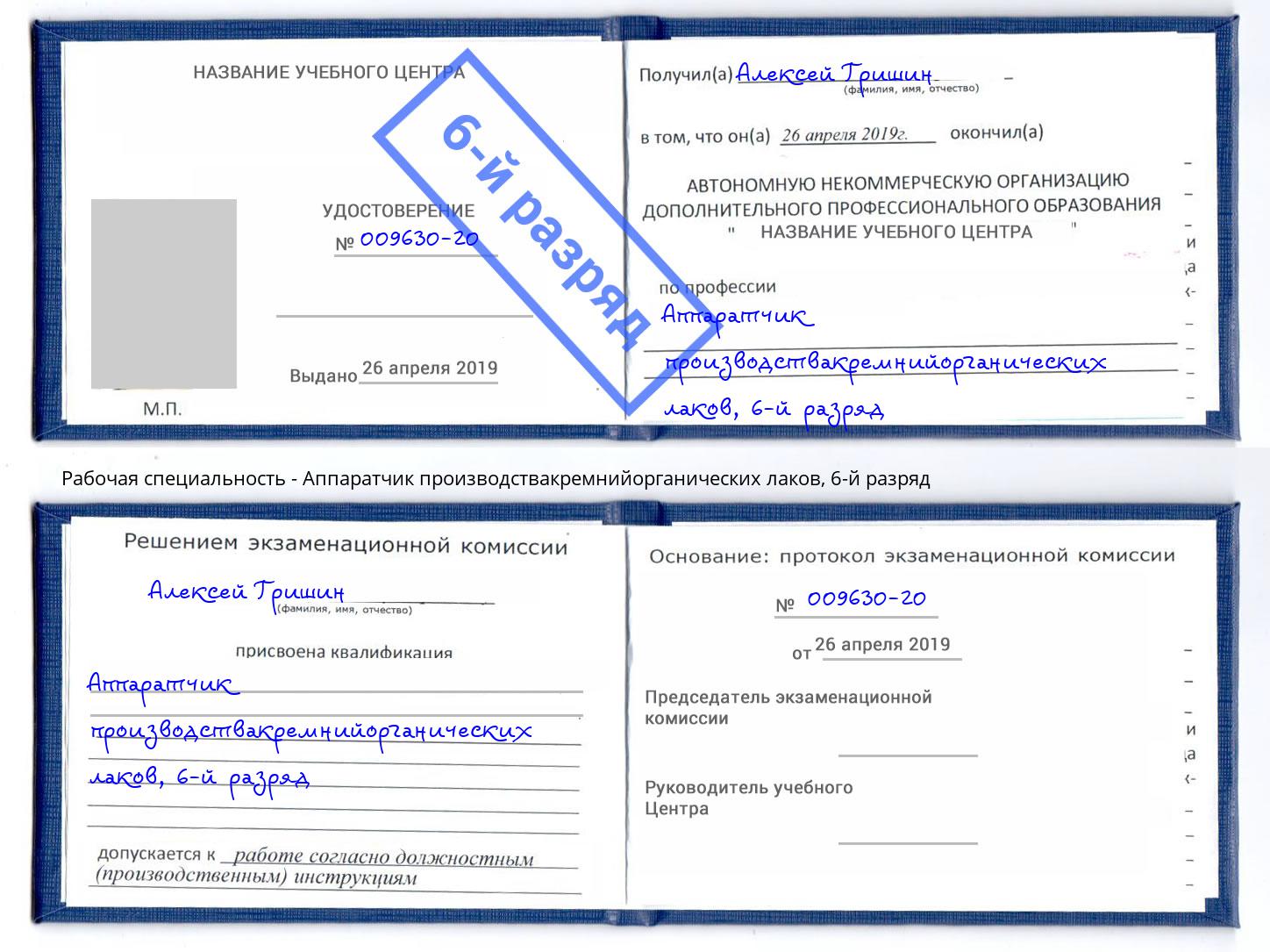 корочка 6-й разряд Аппаратчик производствакремнийорганических лаков Троицк