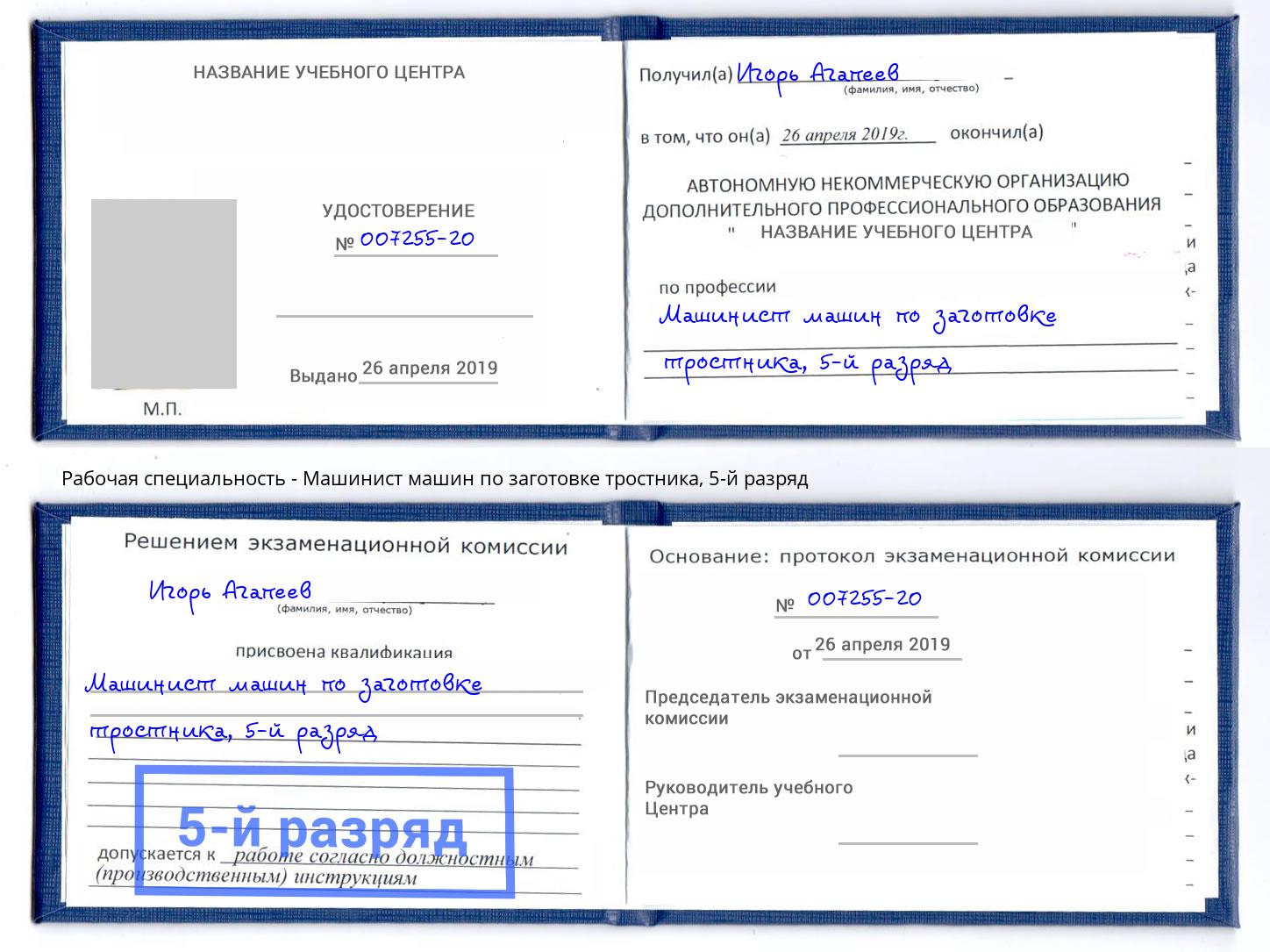 корочка 5-й разряд Машинист машин по заготовке тростника Троицк